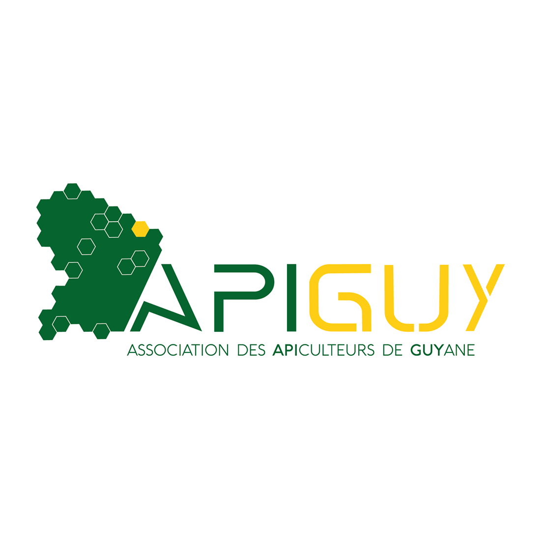 apiguy