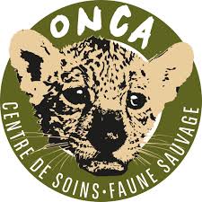 ONCA-logo