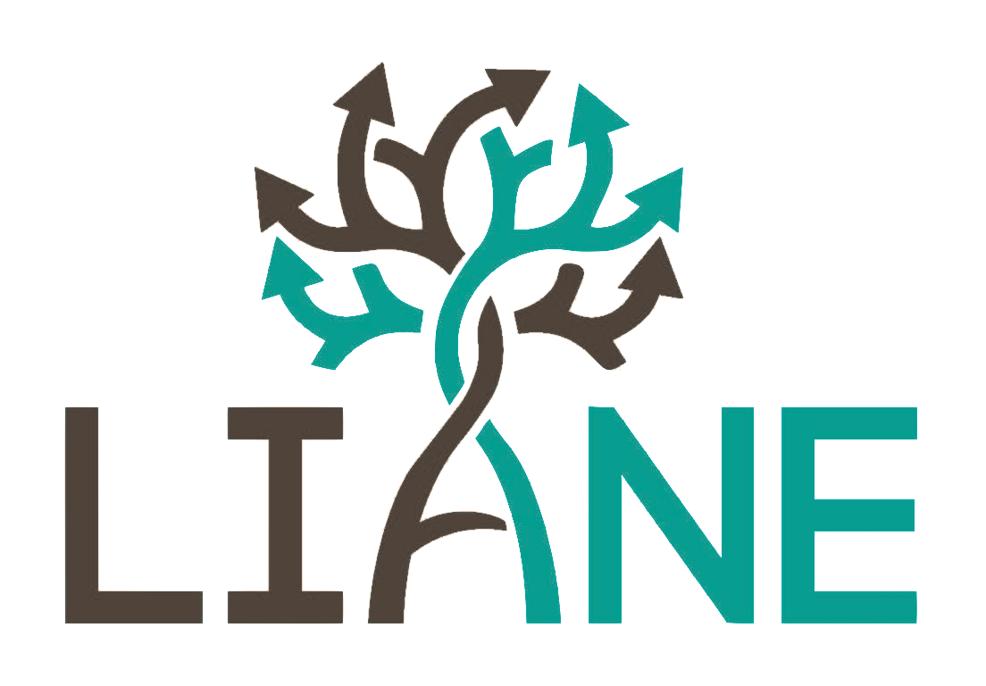 LIANE transparent LIANE transparent